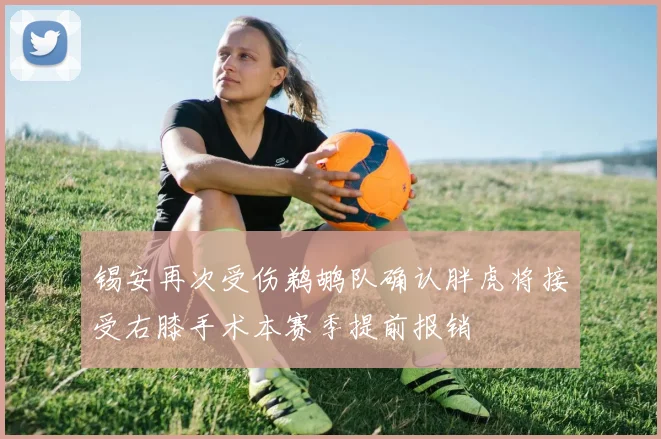 锡安再次受伤鹈鹕队确认胖虎将接受右膝手术本赛季提前报销