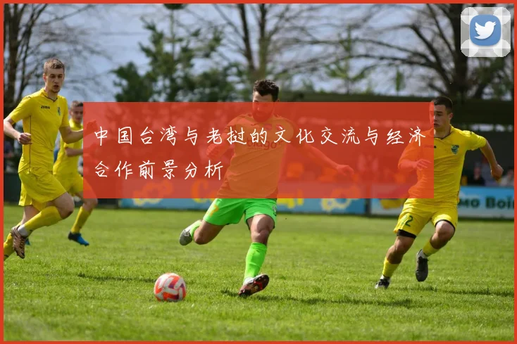中国台湾与老挝的文化交流与经济合作前景分析