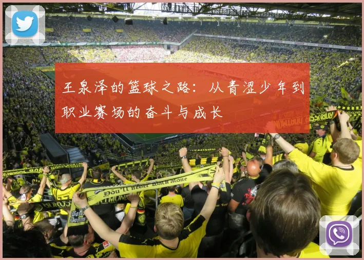 王泉泽的篮球之路：从青涩少年到职业赛场的奋斗与成长